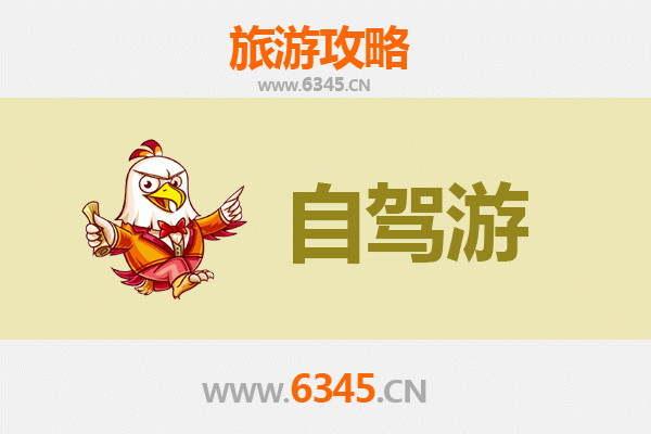 泰兴家庭自驾游攻略：畅游银杏之乡，品味慢生活